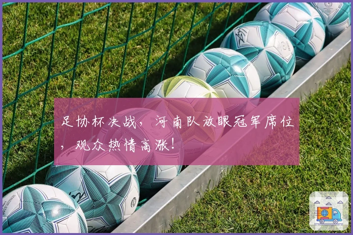 足协杯决战，河南队放眼冠军席位，观众热情高涨！